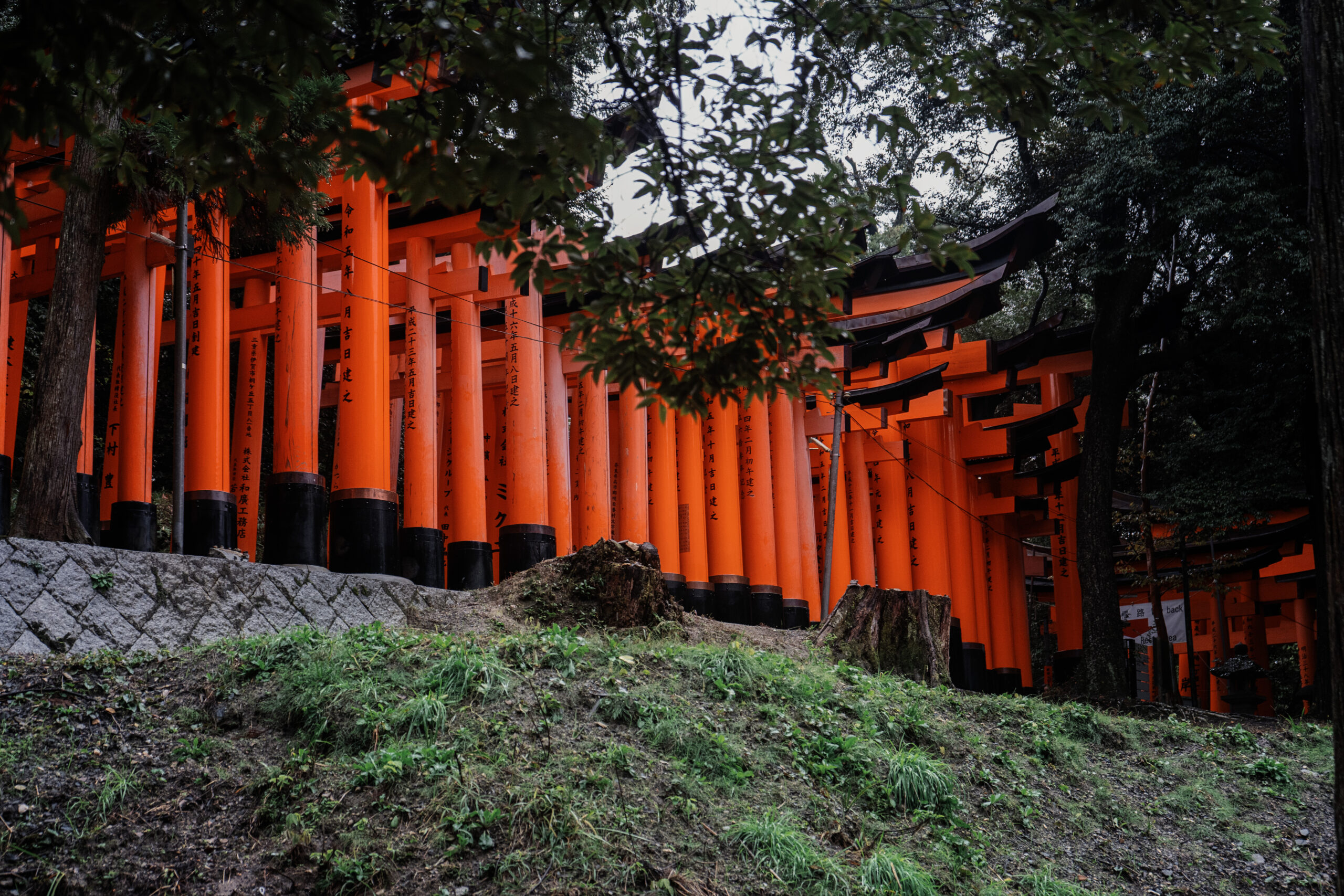 Reminiscing About Japan